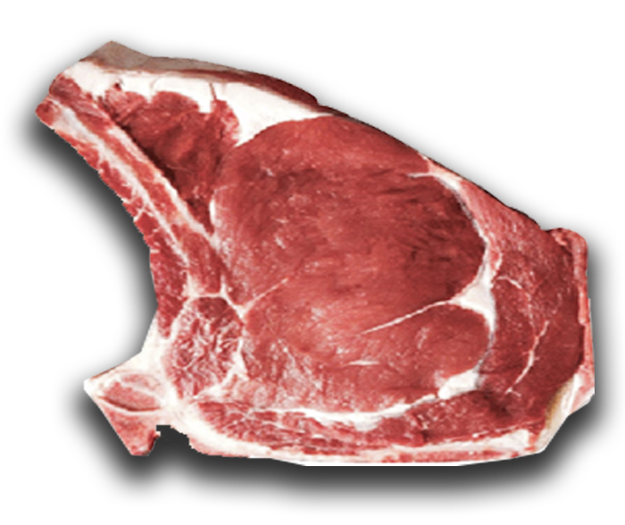 costata fassona piemontese