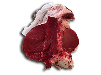 Homepage BEEF TO BEEF 15 Garronese home 1
