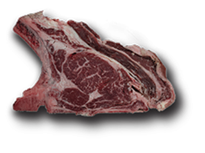 Homepage BEEF TO BEEF 16 Lombata sashi home 1