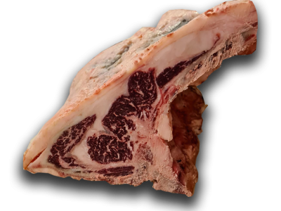 Homepage BEEF TO BEEF 17 Manza nazionale shiroi platinum seal
