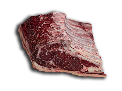Homepage BEEF TO BEEF 13 Scottona irish home 1
