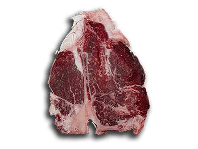 Homepage BEEF TO BEEF 12 Scottona polonia carne home 1